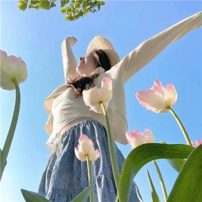 空想的飞行机械们
